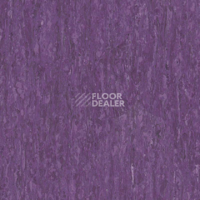 Линолеум Tarkett iq Optima LILCA 0256 фото 1 | FLOORDEALER